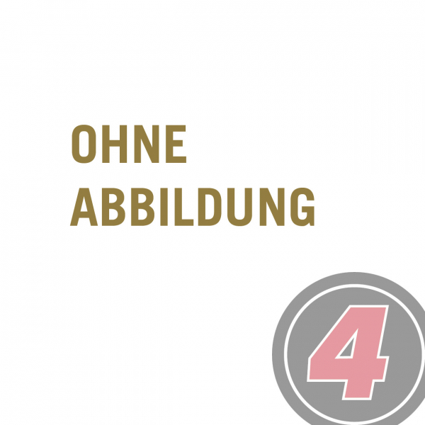 Dachrinne für Faltpavillon, schwarz, 300 cm, B1